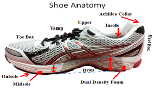 Running shoe anatomy